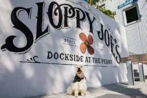 sloppy joe's - spotlight - marinalife