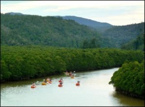 Wellness on the Water Part 2 | Lifestyle | Marinalife