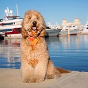 Marina Spotlight | Palm Harbor Marina | Marinalife