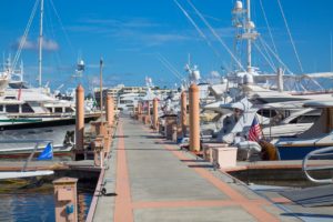 Marina Spotlight | Palm Harbor Marina | Marinalife