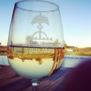 wine glass and ocean | Marinalife