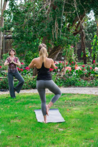 Everglades Wonder Gardens | Wellness on the Water | Marinalife