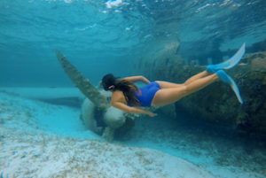 Norman's Cay | West Caribbean Islands | Marinalife