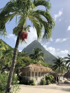 Sugar Beach | Saint Lucia | Marinalife