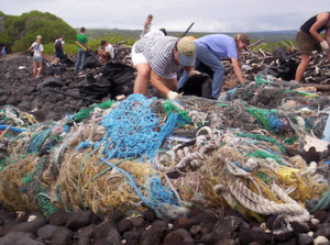 Marina Debris Cleanup | Eco Friendly | Marinalife