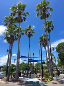 Tarpon Springs Street | Clearwater Weeki Wachee | Marinalife