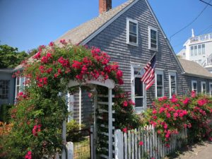 Provincetown MA Cape Cod | Provincetown | Marinalife