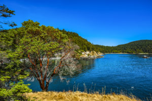 Deception Pass State Park by William Zayas Cruz on Flickr | Whidbey & Camano Islands | Marinalife