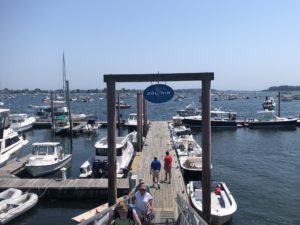 Dolphin Cove Marina | Casco Bay| Marinalife