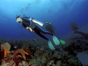 Cane Bay in St. Croix by Alex Taylor | Caribbean Snorkeling & Scuba Diving | Marinalife