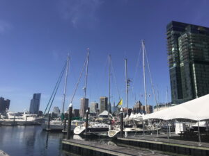 Marina docks close-up | Chesapeake Bay | Marinalife