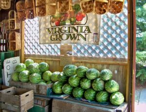 Virginia farmer's market from the Virginia Dept. of Agriculture & Consumer Services | Chesapeake Farmers' Markets | Marinalife