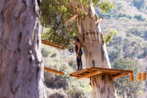 Catalina Zip Line Aerial Adventure from Catalina Island Company | Santa Catalina Getaway | Marinalife