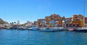 Cabo San Lucas by Zug Zwang | Cabrito | Marinalife