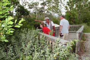 Something spotted at Ding Darling | Florida Sweet Spots | Marinalife