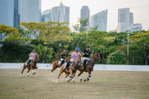 Polo match | Florida's Coasts | marinalife
