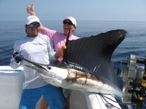 Sail Fish | Florida's Coasts | marinalife