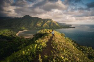 Hawaii - Oahu, HI - Marinalife