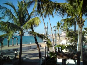 Malecon - Puerto Vallarta, Mexico - Marinalife