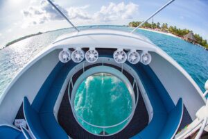 Glass bottom boat front - History - Marinalife