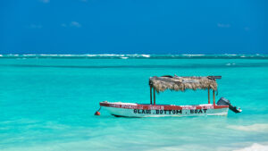 Glass bottom boats - History - Marinalife