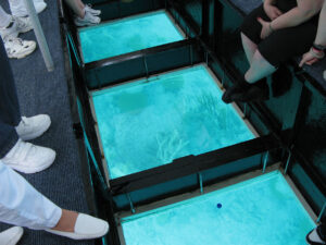 Glass Bottom Boats Tour - History - Marinalife