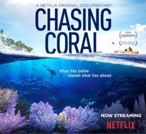 Chasing Coral - Boating Movies - Marinalife