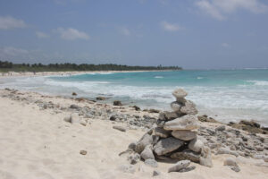 Xcacel Beach - Mexico's East Coast - Marinalife