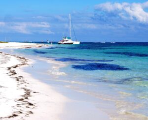 Isla Blanca - Mexico's East Coast - Marinalife
