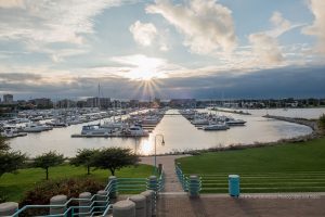 Reefpoint Marina - marina spotlight - marinalife
