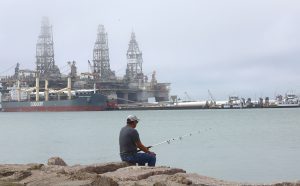 Port Aransas, TX - Port Aransas - marinalife