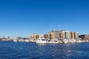 Downtown Wilmington - weekend warrior - marinalife