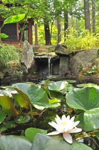 Waterfall in Petit Pond - Outdoor Sculpture Parks - marinalife