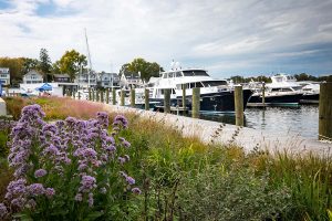 South Annapolis Yacht Centre - marina spotlight - marinalife