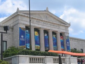 Shedd Aquarium - marina spotlight - marinalife