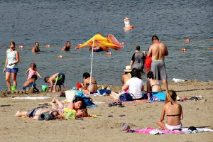 Million Dollar Beach - this or that - marinalife