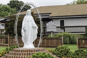 st. clements - cb museums - marinalife