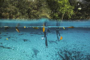 silver glen springs - southern boating lakes - marinalife