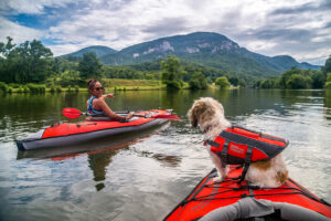 Lake Lure - southern boating lakes - marinalife