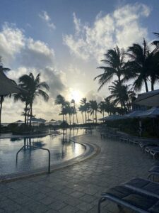 Hawks Cay - rendezvous - marinalife