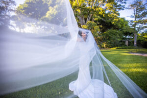 fairchild gardens - celebrations - marinalife