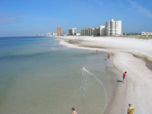 Panama City Beach - itinerary - marinalife