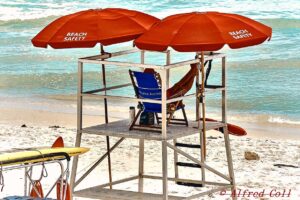 Port St. Joe - itinerary - marinalife