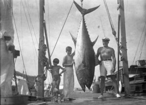 hemingway - marinalife