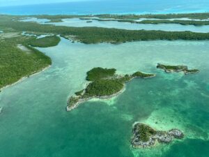 Great Harbour Cay - cruising bahamas - marinalife