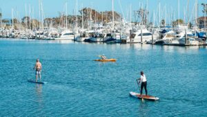 Marina del Rey - destination - marinalife