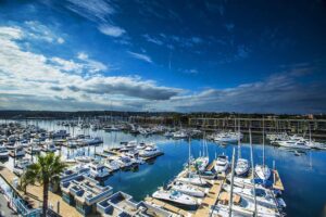 marina del rey - destination - marinalife