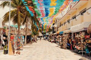 playa del carmen - destination - marinalife