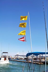 Fish flags - history - marinalife