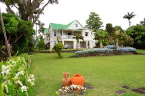 grenada - this or that - marinalife